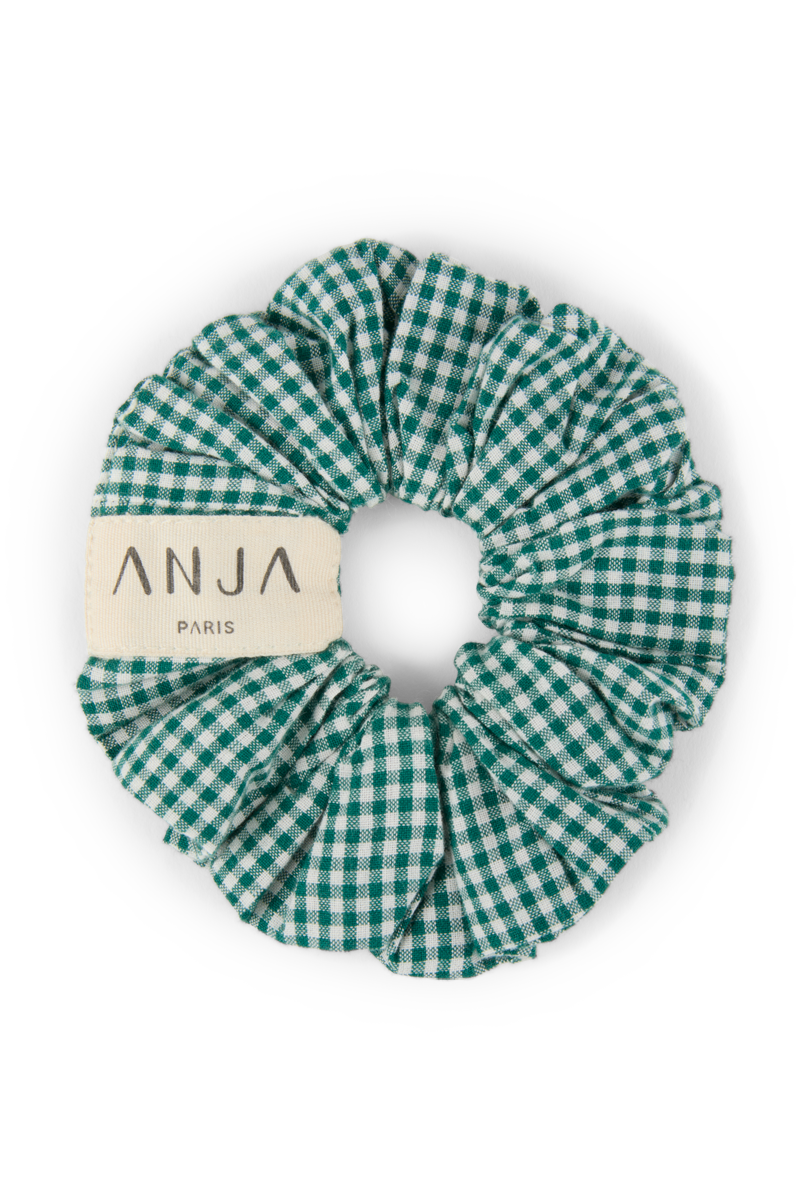 anja accessoires le chouchou vichy vert fond transparent